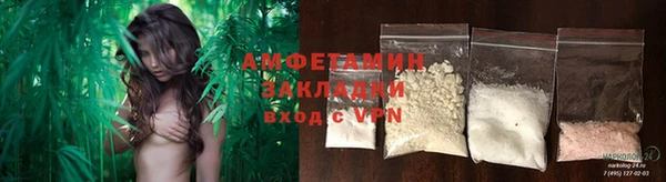 дмт Абаза