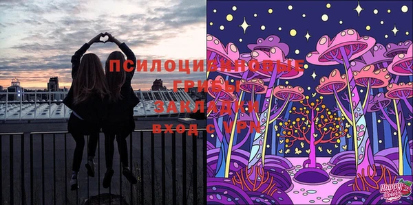 дмт Абаза